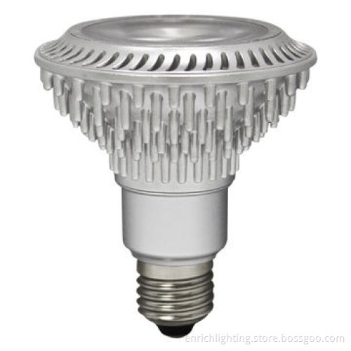 PAR30 LED Bulb with 100-240V Working Voltages